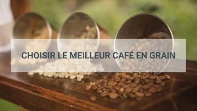 meilleur café en grain