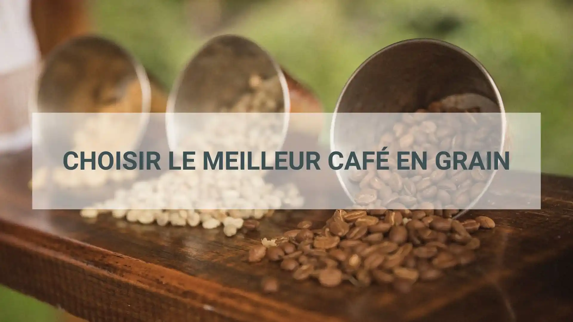 meilleur café en grain