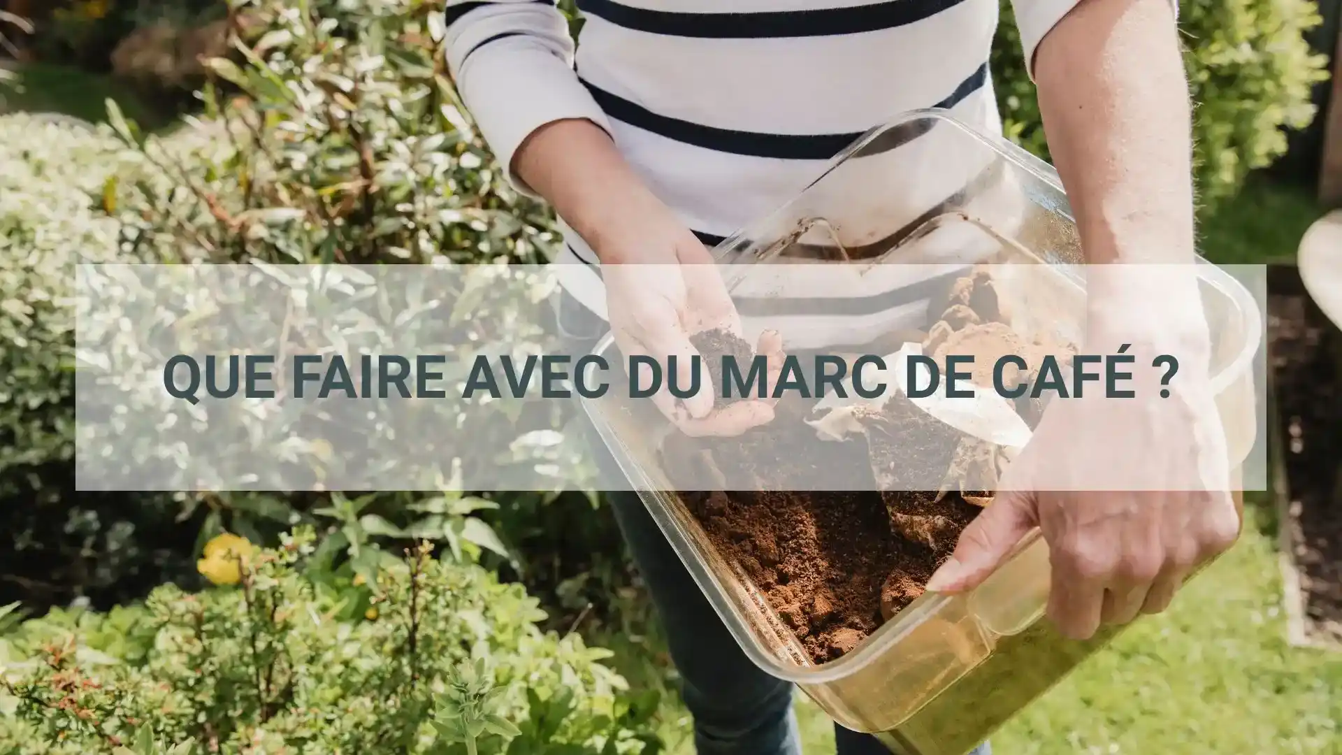 Que faire avec du marc de café ?