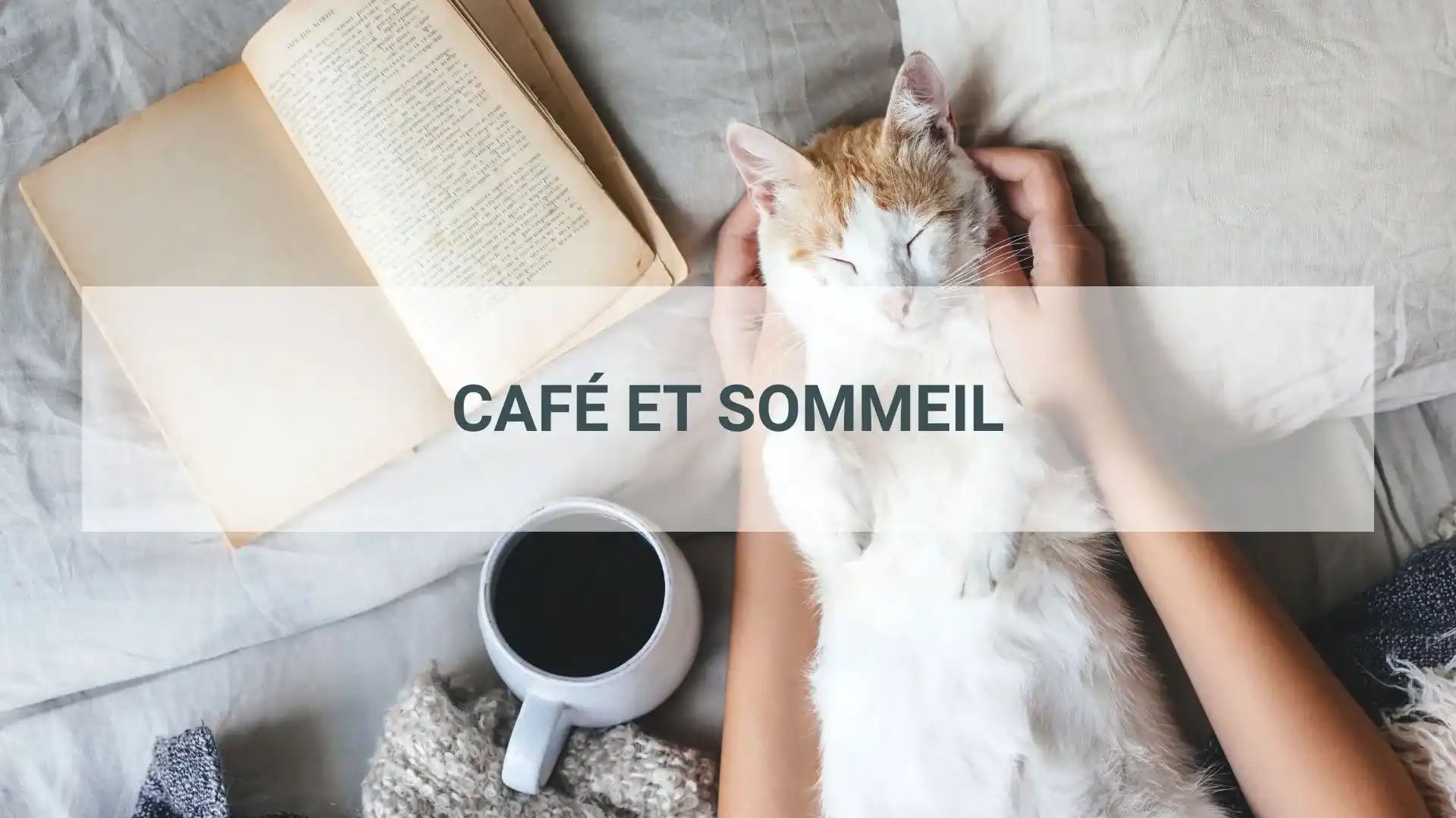 café et sommeil