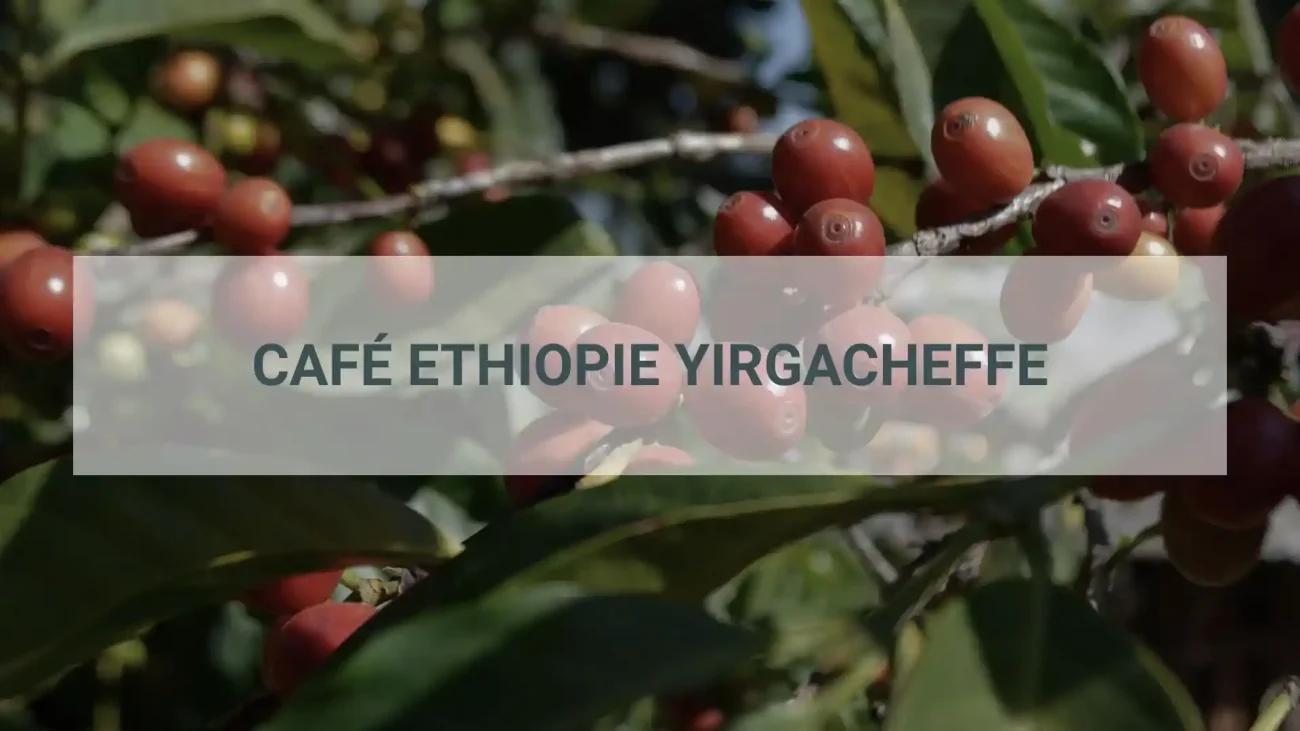 Café Ethiopie Yirgacheffe