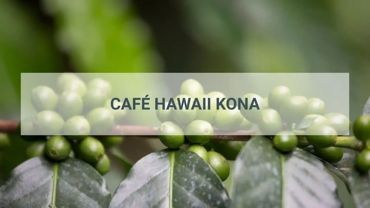 Café Hawaii Kona