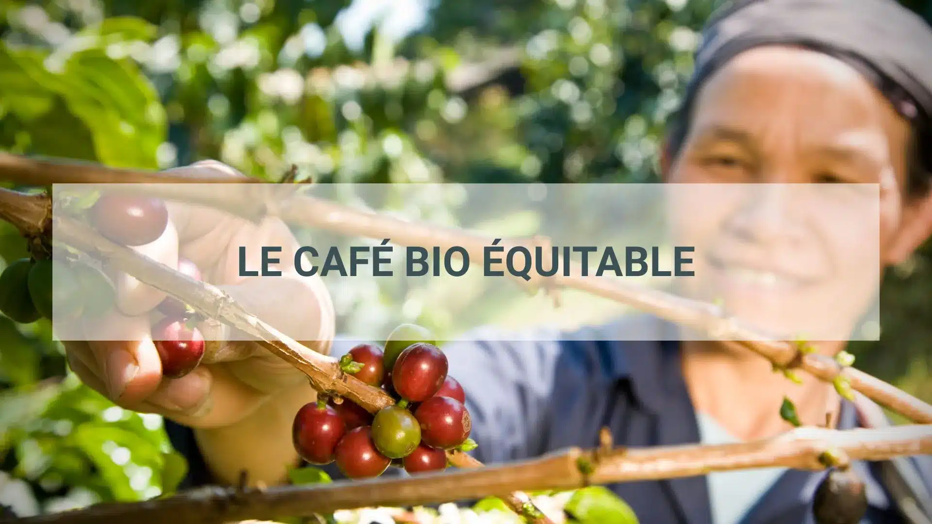 café bio équitable