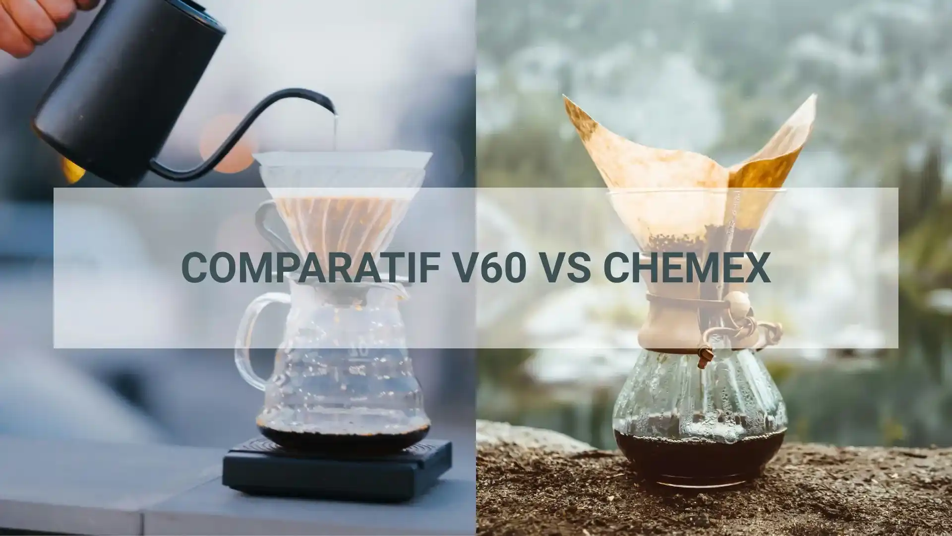 chemex vs v60