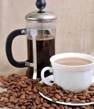 French Press — Piston
